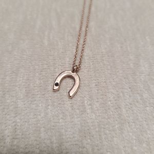 3/$10 Horseshoe Rose Gold Necklace